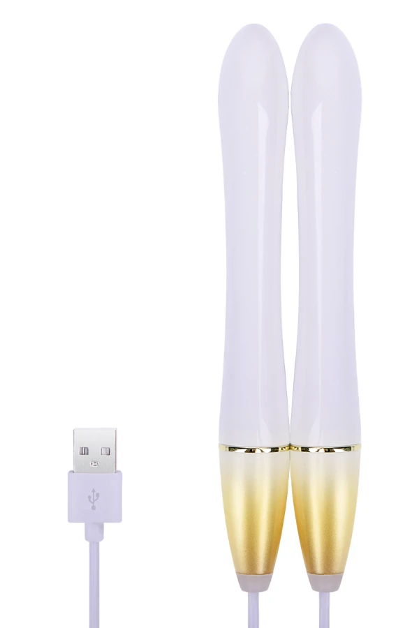 In-Depth Review and Analysis of the Heating Rod Performance and Efficiency